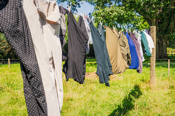 Laundry drying in the wind and sunshine of New Zealand during a warm summer's day in January.