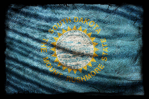South Dakota Flag, Grunge Texture Background