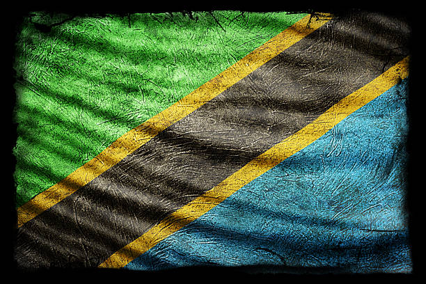 Tanzania Flag, Grunge Texture Background