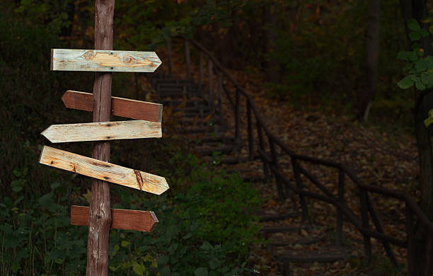 A weathered wooden signpost with blank arrow-shaped signs stands at a fork in a forest path with stairs leading up into the trees