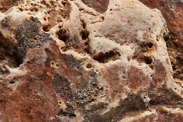 A detailed close-up of a porous natural stone surface featuring earthy brown and beige tones with unique mineral patterns and rough textures. The organic cavities, color variations, and weathered appearance make this stone texture ideal for use in architectural presentations, material libraries, interior design concepts, geological visuals, product backgrounds, 3D texture mapping, construction projects, and digital artwork. This high-resolution rock texture adds authenticity, rugged character, and natural depth to any creative or commercial application.