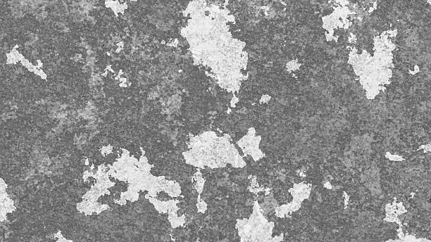A minimalist light gray or white stucco wall texture with a rough, uneven surface, ideal for architectural and interior design backgrounds.