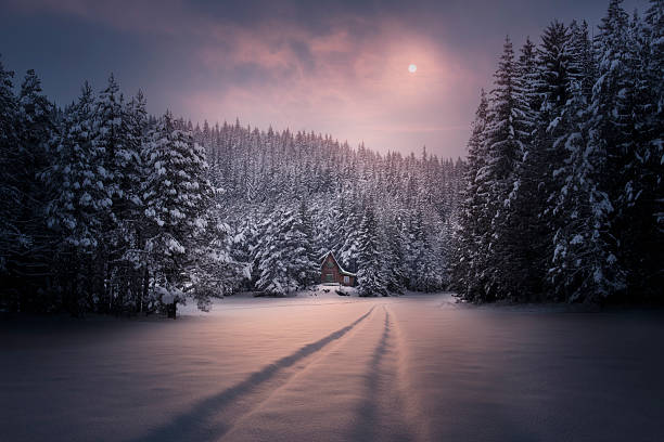 Small beautiful hut between pine trees covered with soft snow, beautiful winter landscape.