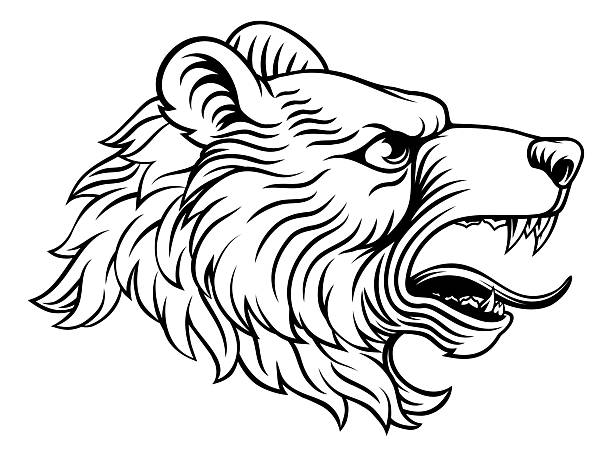 Bear head, an original illustration in a retro woodcut etching vintage style
