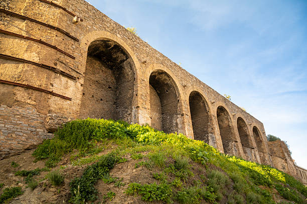 Old stone aqueduct with large arches and traditional masonry construction surrounded by vegetation in Algiers, Algeria.