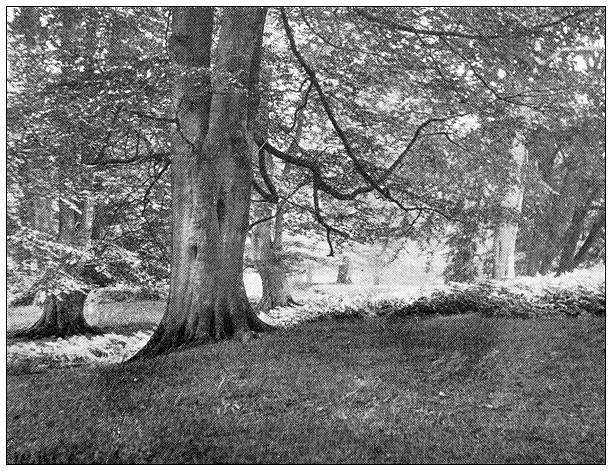 Image from 19th Century Art Illustrated Magazine: Landscape