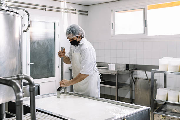 Worker making dairy products in a food processing factory