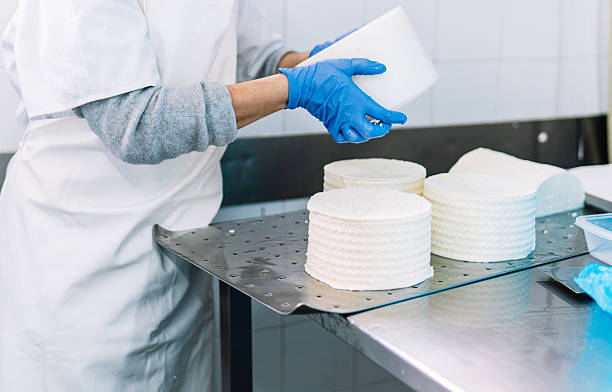 Cheesemaker wearing gloves shaping fresh artisanal cheese