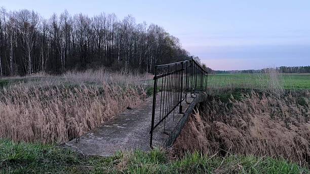 Atmospheric setting on an evening farm near a forest. An old bridge over a ditch in a field. A static shot. Old bridge in the countryside on a summer evening.