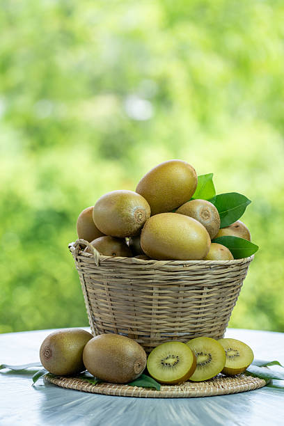 Kiwi fruit in wooden basket over blur greenery background, Kiwi fruit or Chinese gooseberry over green natural Blur background.