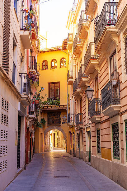 Valencia old town: Portal de Valldigna arch door in Barrio del C
