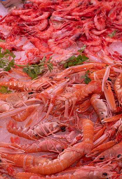 Fresh raw shrimp background texture