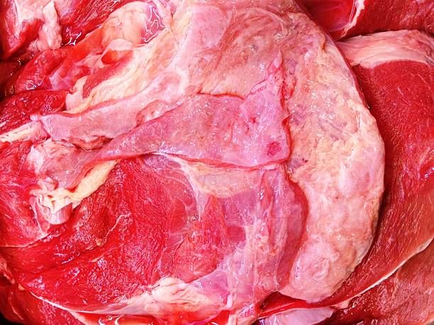 a fresh piece of meat