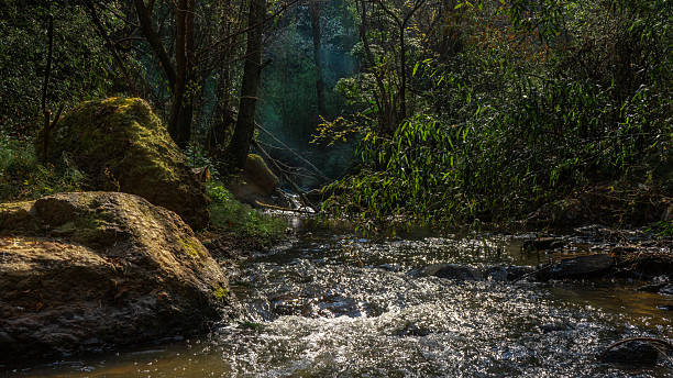 Rivers in rural Yunnan
