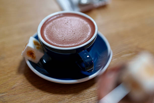 Close Up of a Cup of Rich Hot Chocolate with Toasted Marshmallows