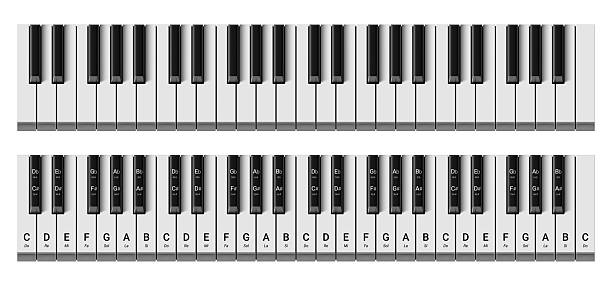 Vector realistic piano or synth keyboard with 49 keys. Keyboard mockup or template with octave notes, flats and sharps isolated on white background