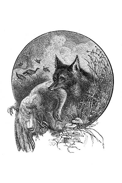 A 19th-century woodcut illustration depicts a wolf holding its prey, surrounded by grass and other animals in the background.
