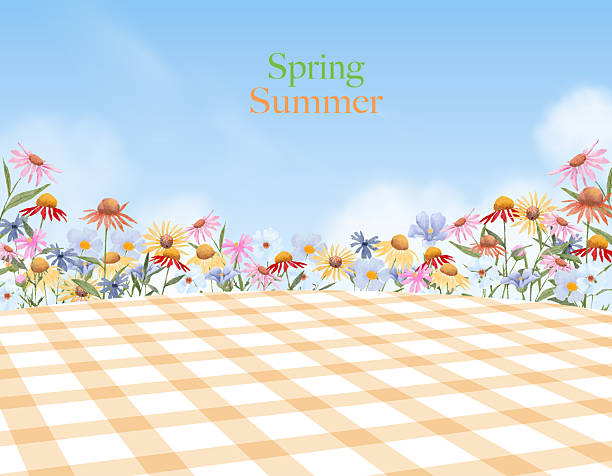 Colorful Spring,Summer floral background.Wildflower on picnic tablecloth under blue sky,cloud.Vector Seasonal nature with copy space for Easter greeting card,Banner,Invitation design
