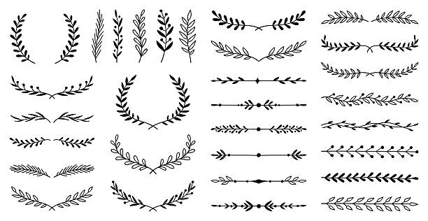 Set of hand drawn floral dividers and design elements.