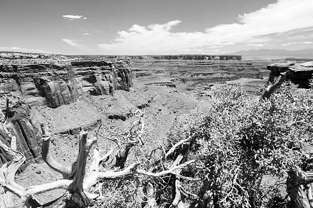 Canyonlands National Park in Utah, USA. Island in the Sky district.