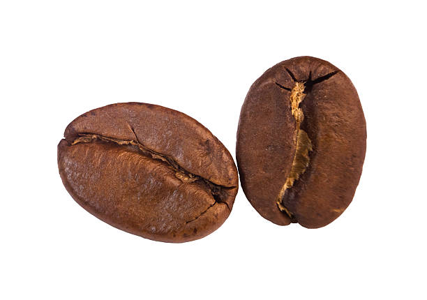 Two roasted coffee beans on a white background. Close-up.  Isolated.