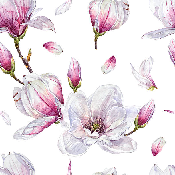 Watercolor seamless pattern with hand-painted illustrations of pink and white magnolia flowers.