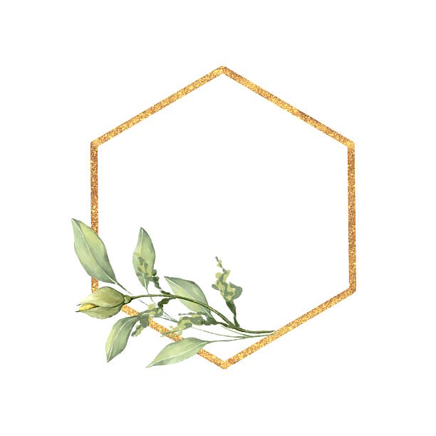 Gold geometric hexagon frame decorated with a green leaf branch and bud in a watercolor style.