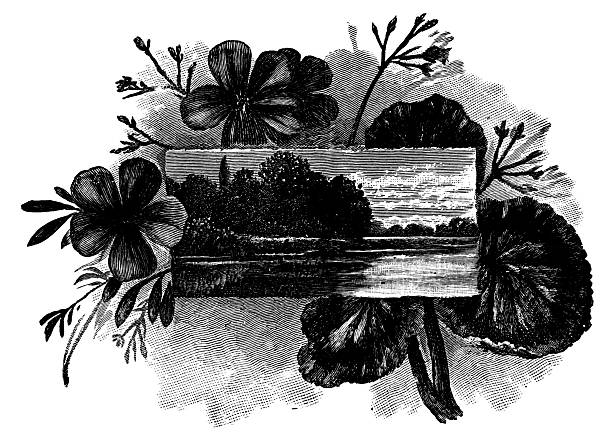 Picture of the Potomac River in the USA. Vintage etching circa 19th century.