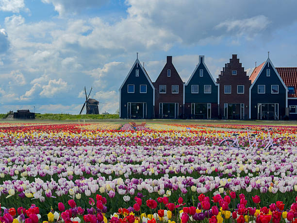 rural dutch country street of small old town Volendam, Netherlands
