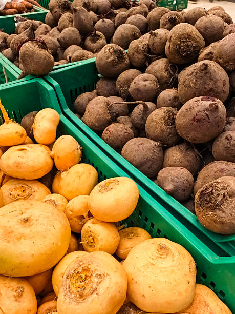 Fresh Beets and Turnips in Market Display.