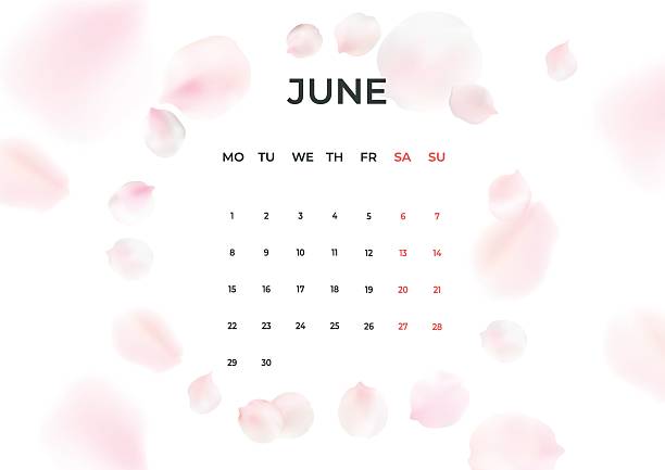 Monthly wall calendar with nature elements. June 2026 minimal calendar template, week starts Monday.