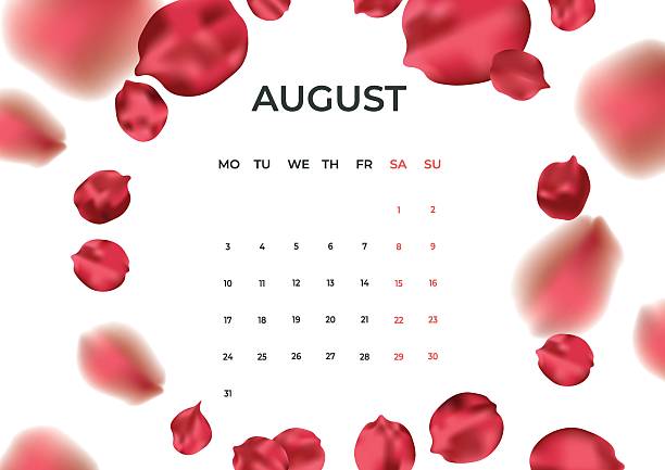 Monthly wall calendar with nature elements. August 2026 minimal calendar template, week starts Monday.