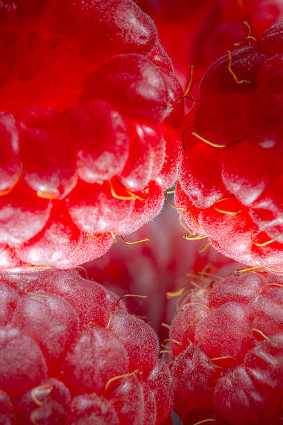 Raspberry