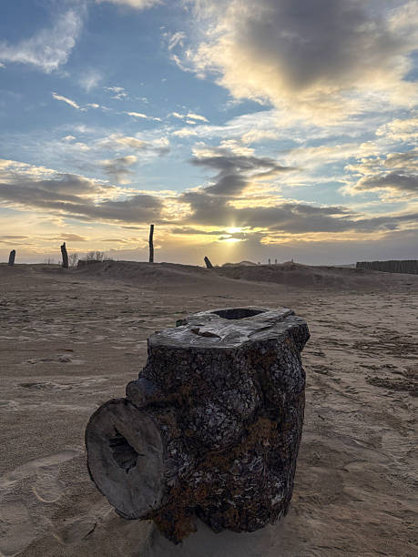 Tree stump on the beach at sunset. Tree stump on the beach sand with sunset sky background