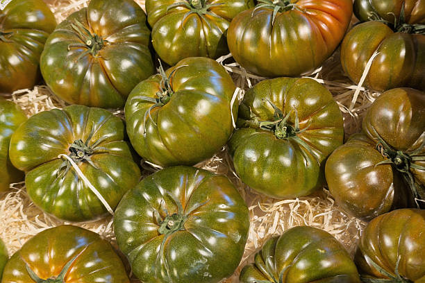 Close up view of freshly harvested organic heirloom green and brown tomatoes displayed on straw bedding