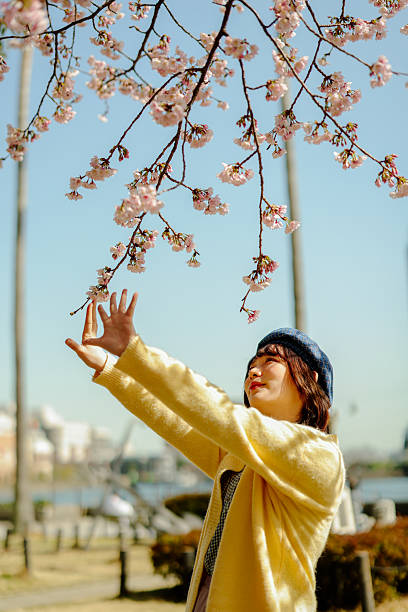 Yamashita  park, Yokohama Japan