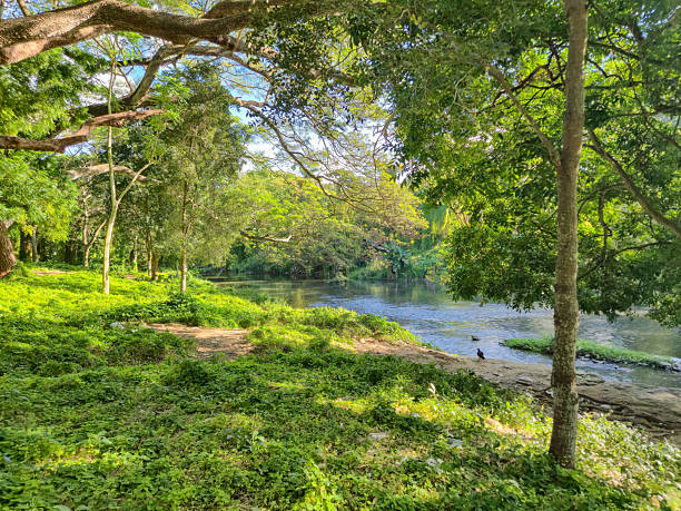 Parque Almendares (Almendares park) In Havana In Cuba.
