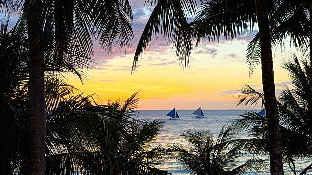 Tropical Sailboat Sunset Palm Trees - Tourist Paddle Boarding - Dramatic Sky - Boracay Maylay Philippines - Tight Shot