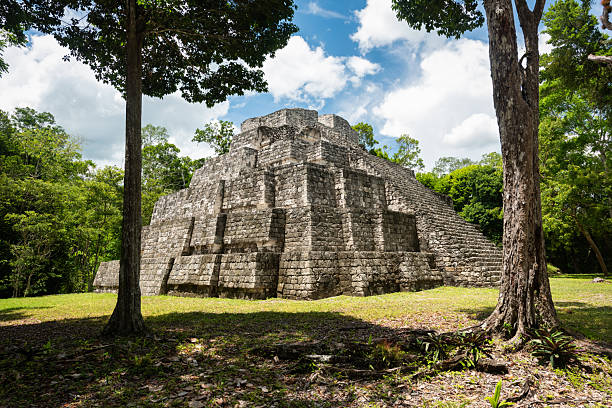 Ancient Maya pyramid rising from a forest clearing at the archaeological site of Yaxha in northern Guatemala. The scene highlights jungle landscape, ancient architecture, and cultural heritage tourism. Yaxha National Park, Peten, Guatemala, Central America