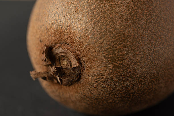 Macro close-up of kiwi fruit skin texture