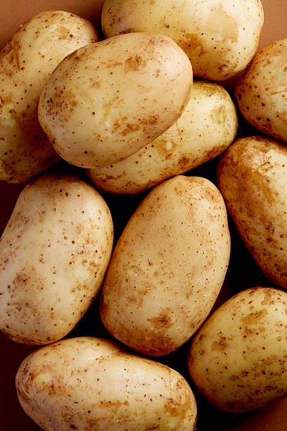 Close-up macro shot of raw organic potatoes.