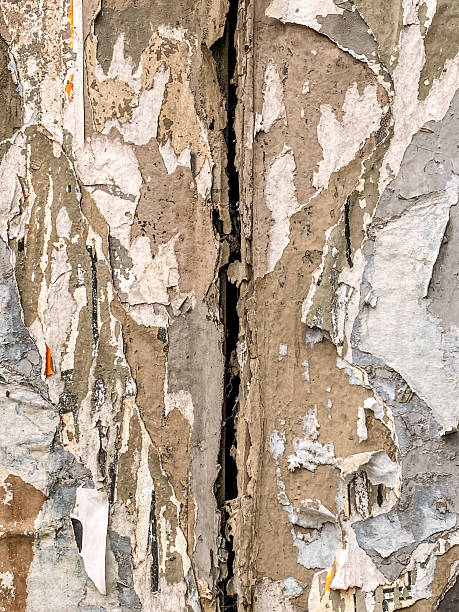 Weathered surface with paper peeling off from it