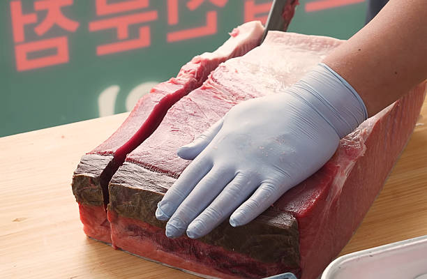 Professional chef neatly cutting large fresh raw bluefin tuna block with sharp Japanese knife in restaurant kitchen.
