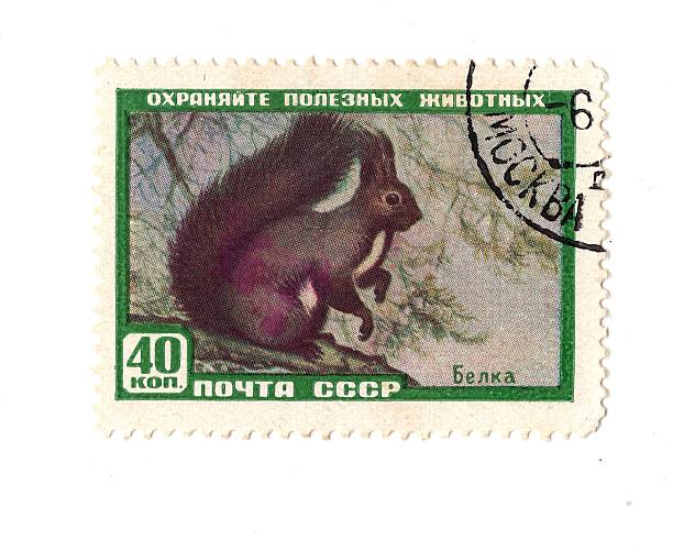 A vintage postage stamp from Russia isolated on a white background.