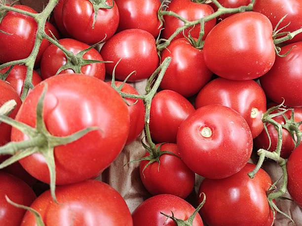 fresh vegetables