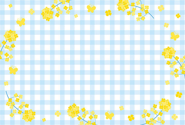 vector background with yellow canola flowers frame on gingham plaid
