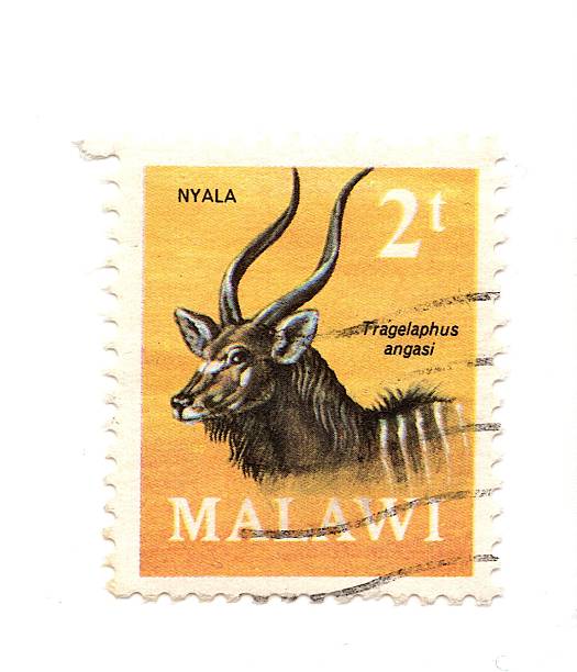 A vintage postage stamp from Malawi isolated on a white background.