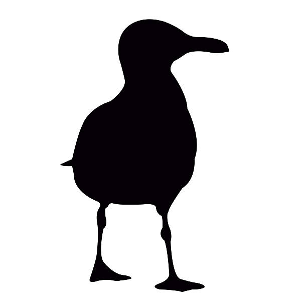 a sea gull body silhouette vector