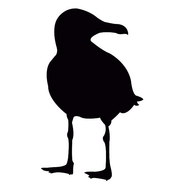 a sea gull body silhouette vector