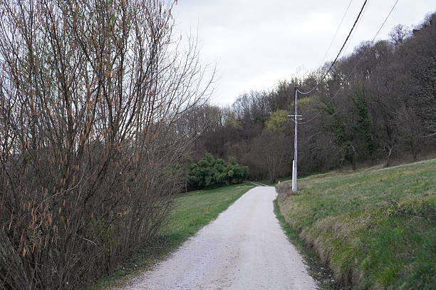 A quiet paved path winding through early spring trees.